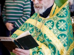 Неделя ваий